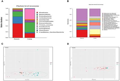 Correlation Analysis of the Microbiome and Immune Function in the Lung-Gut Axis of Critically Ill Patients in the ICU